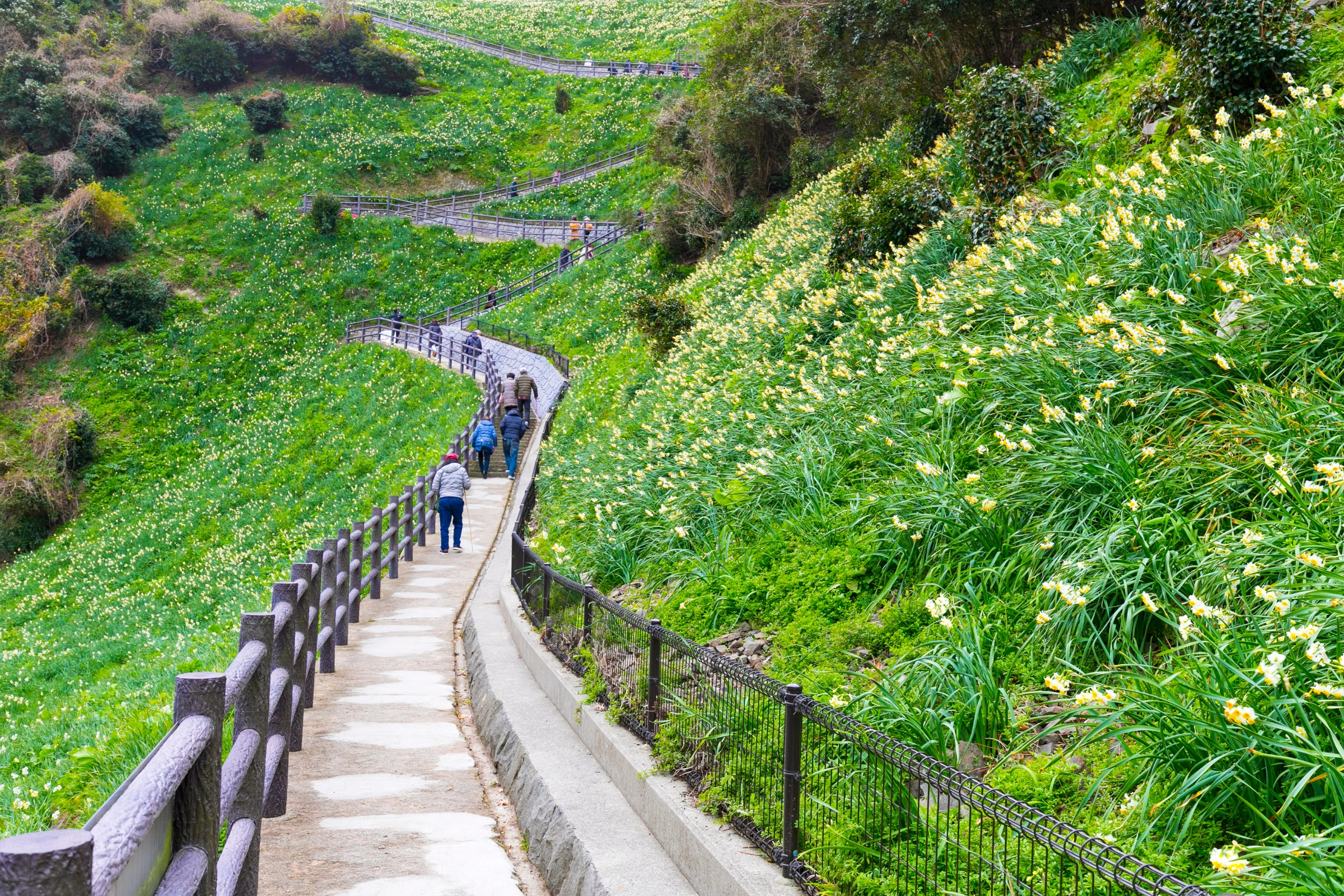 Awaji_Island[1].webp